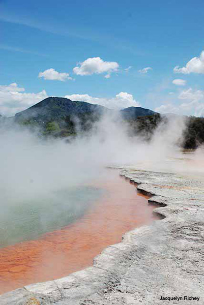 Champagne Pool by Jacquelyn Richey